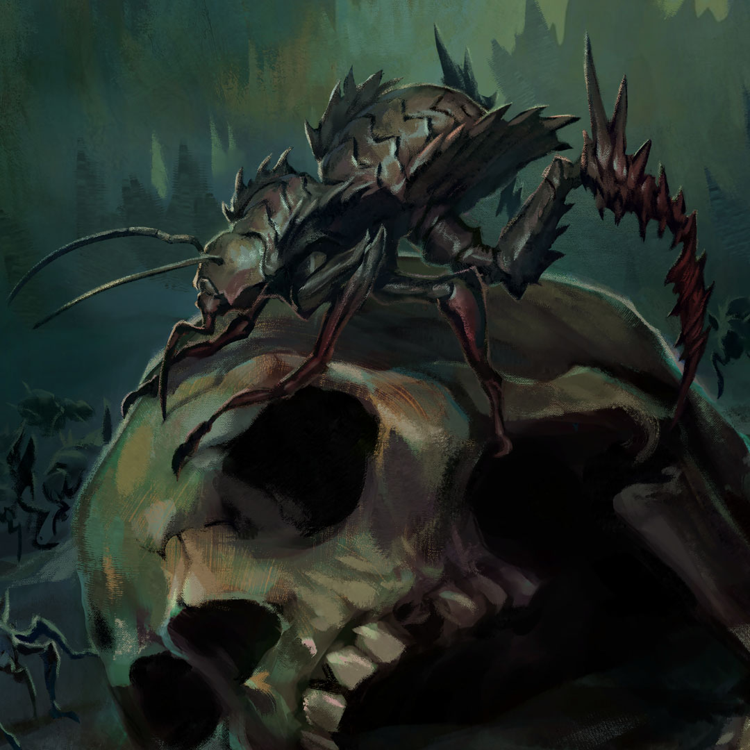 Bone Cricket, an insect that burrows for marrow
